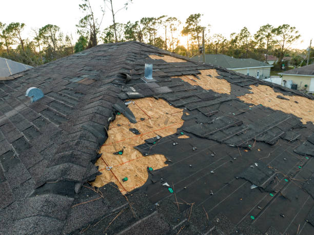 Best 4 Ply Roofing  in Bayou Lourse, LA